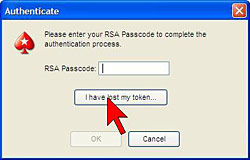 Login Security Settings Option