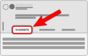 Número de Identificação Fiscal